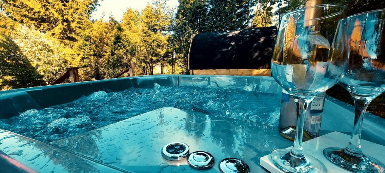 Apartament Widokowy Z Jacuzzi I Sauna Na Wylacznosc - Sikorowka - Dobre Miejsce Wisła Eksteriør bilde